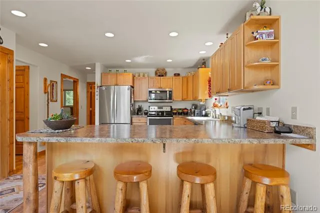 59 Tabor Drive Leadville, CO 80461