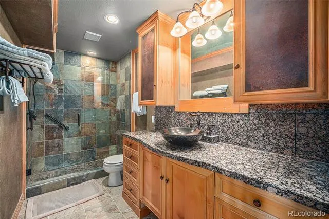 6387 Willow Springs Drive Morrison, CO 80465