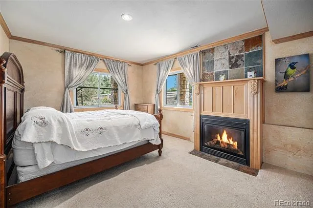 6387 Willow Springs Drive Morrison, CO 80465