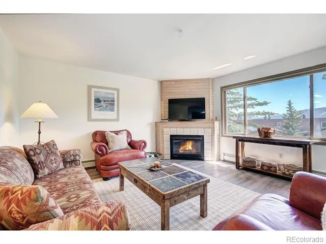 95600 Ryan Gulch Road #95613 Silverthorne, CO 80498