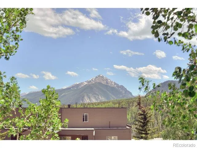 95600 Ryan Gulch Road #95613 Silverthorne, CO 80498