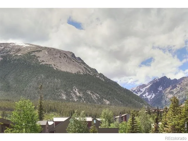 95600 Ryan Gulch Road #95613 Silverthorne, CO 80498