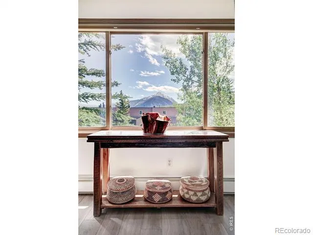95600 Ryan Gulch Road #95613 Silverthorne, CO 80498