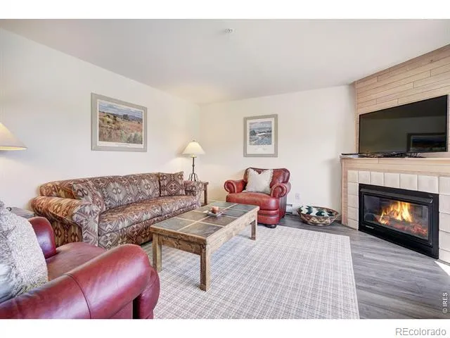 95600 Ryan Gulch Road #95613 Silverthorne, CO 80498