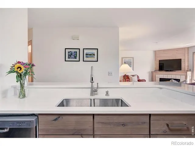 95600 Ryan Gulch Road #95613 Silverthorne, CO 80498