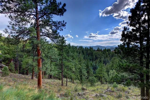 4331 Hilltop Road Evergreen, CO 80439
