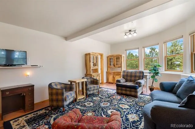9 Arapahoe Street Woodland Park, CO 80863