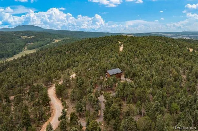 9 Arapahoe Street Woodland Park, CO 80863