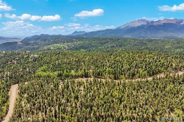9 Arapahoe Street Woodland Park, CO 80863