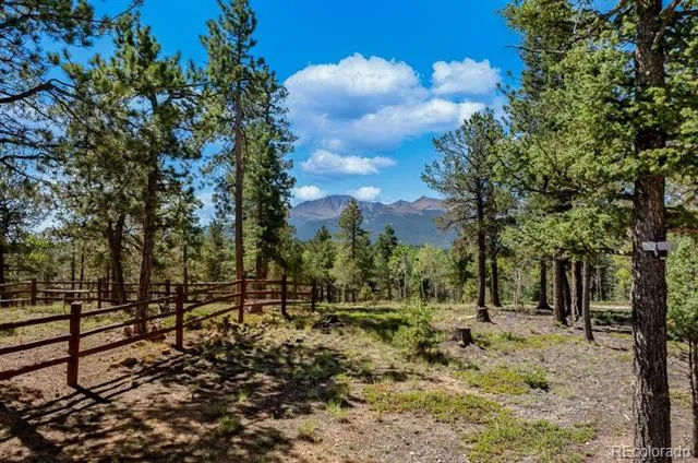 9 Arapahoe Street Woodland Park, CO 80863