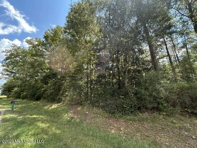 Carter Lane Summit, MS 39666