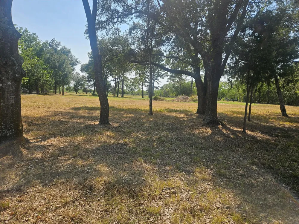 Fm-1875 Beasley, TX 77417