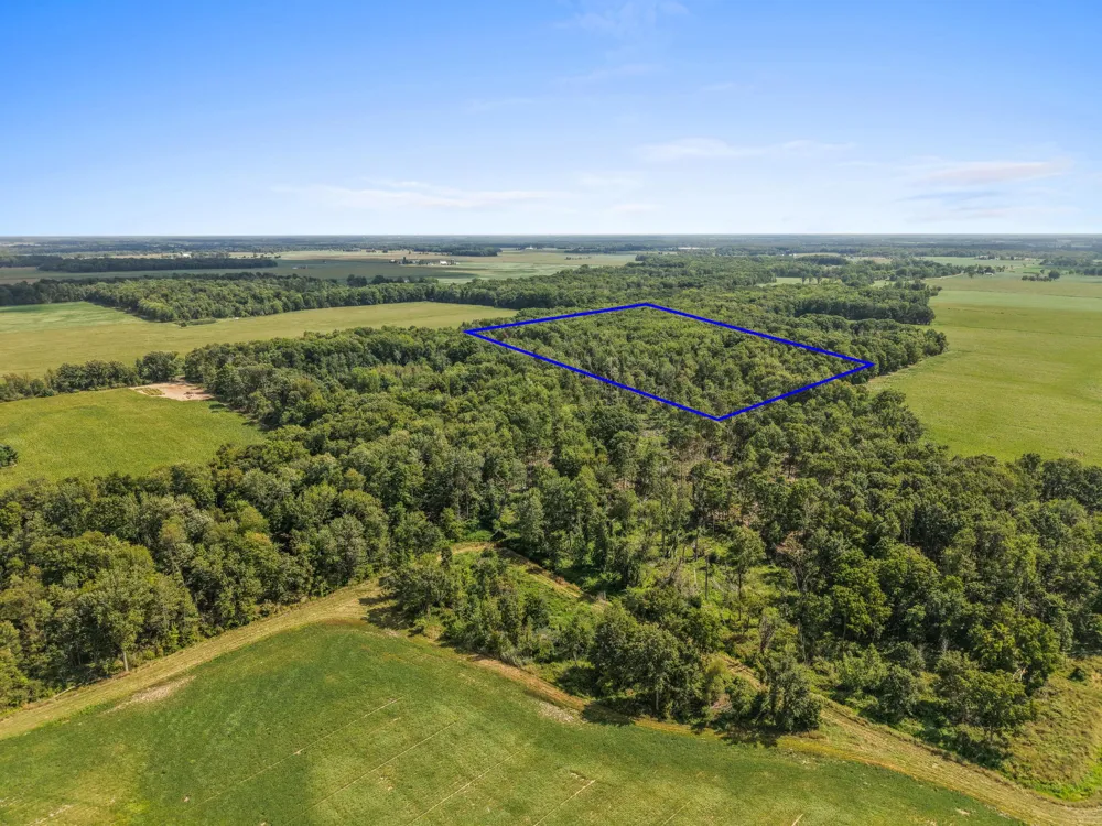 Crystal Road Hubbardston, MI 48845