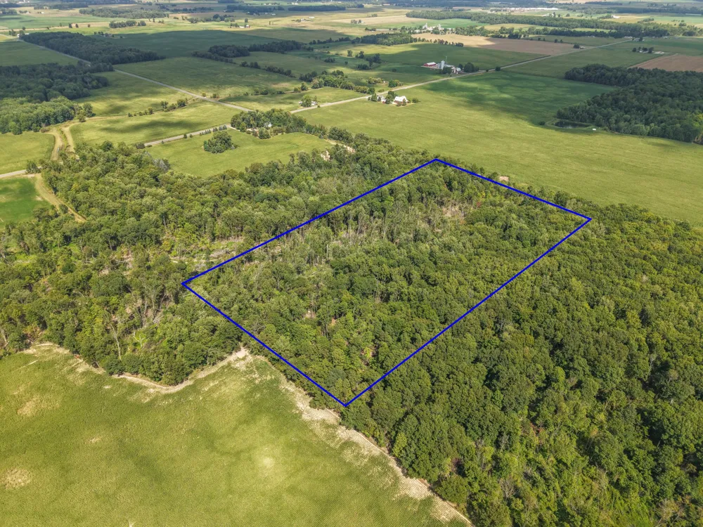 Crystal Road Hubbardston, MI 48845