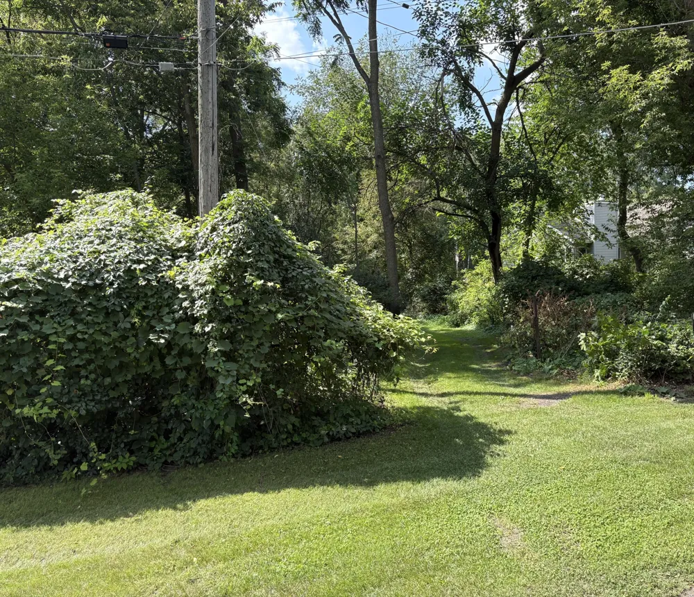 3491 Eastern Avenue NE Grand Rapids, MI 49525