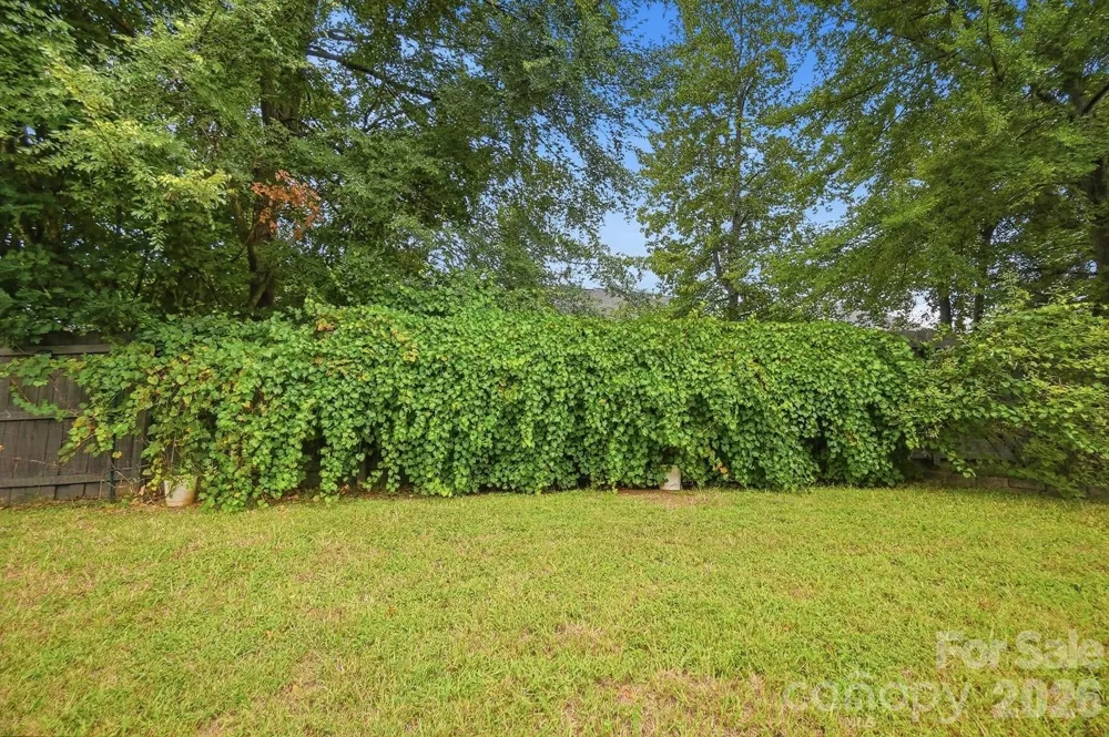 6324 Carpentaria Court Charlotte, NC 28215