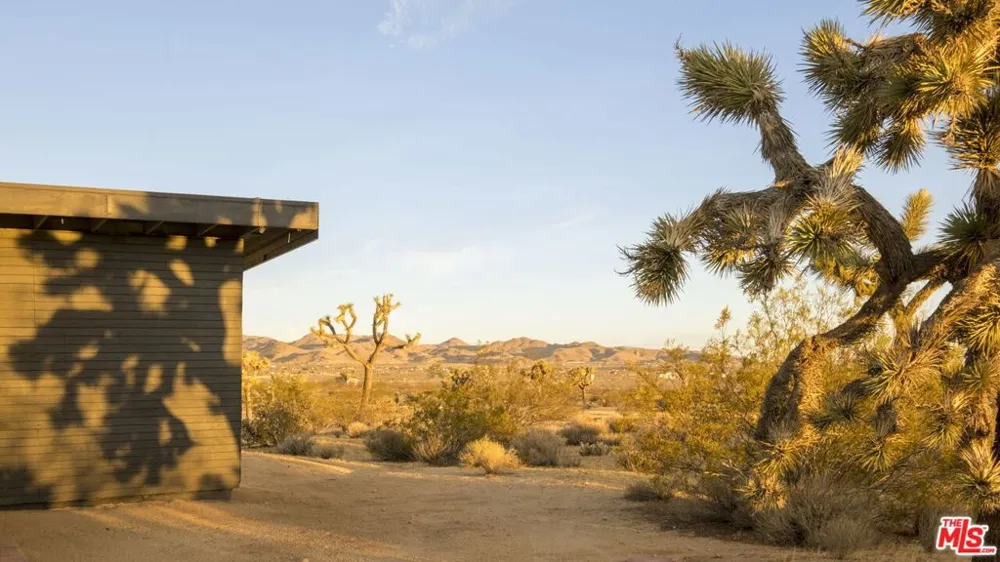 978 Hilton Avenue Yucca Valley, CA 92284