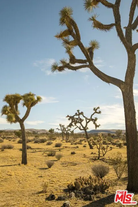 978 Hilton Avenue Yucca Valley, CA 92284