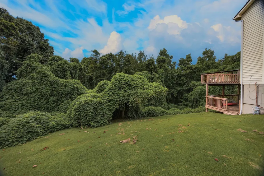 171 Matthew Ln Dayton, TN 37321