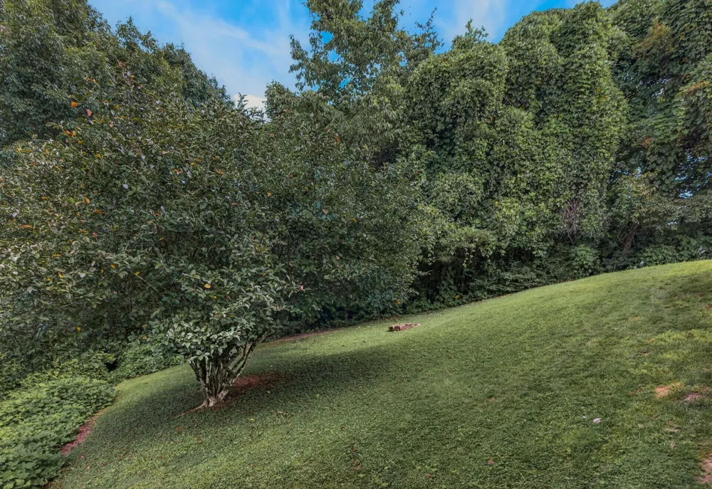 171 Matthew Ln Dayton, TN 37321