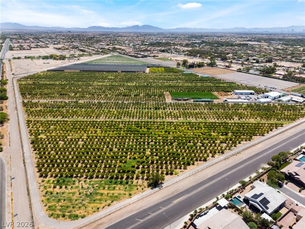 7310 Fruitful Harvest Avenue Las Vegas, NV 89131