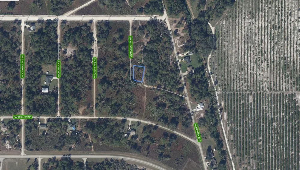 108 CHANDLER TERRACE NE Lake Placid, FL 33852