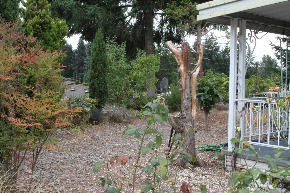 2500 S 370th Street #206 Federal Way, WA 98003