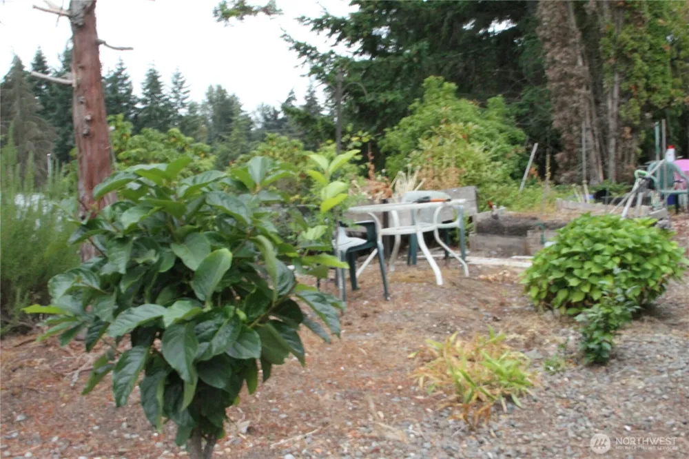 2500 S 370th Street #206 Federal Way, WA 98003