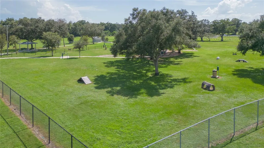 719 VINEYARD RESERVE COURT Seffner, FL 33584