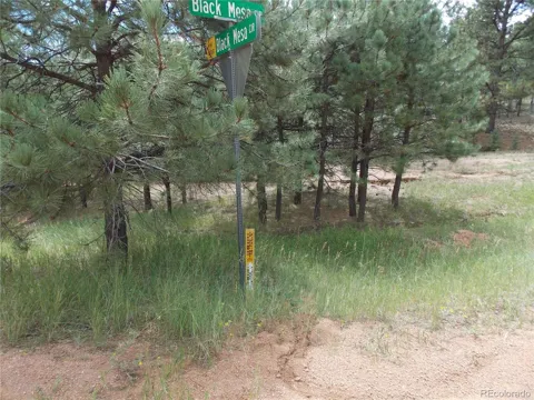 738 Black Mesa Circle