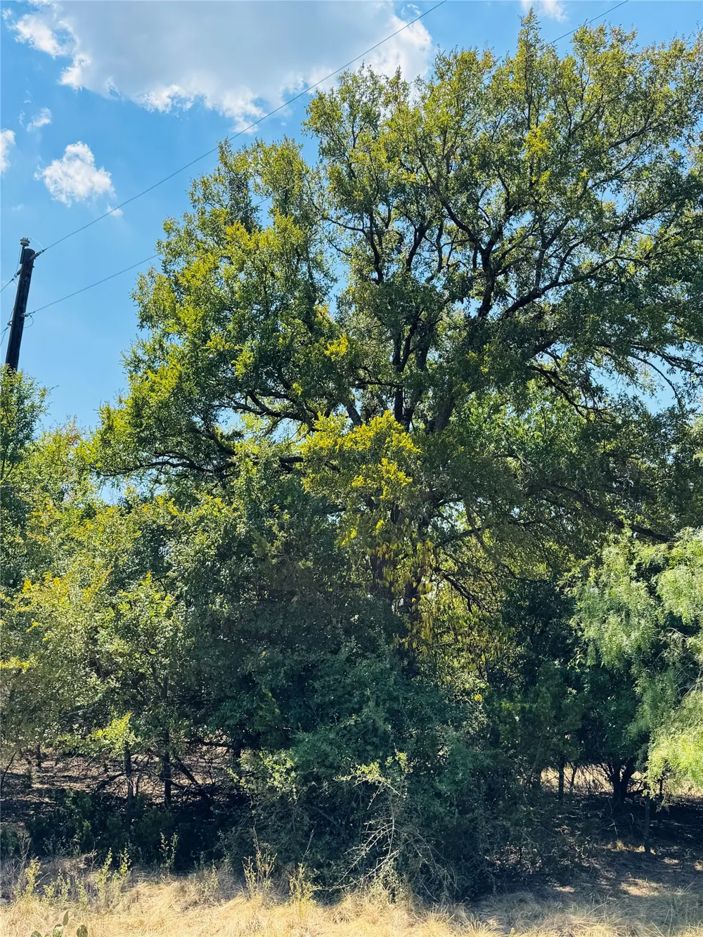 14057 Sandy Oaks Drive Whitney, TX 76692