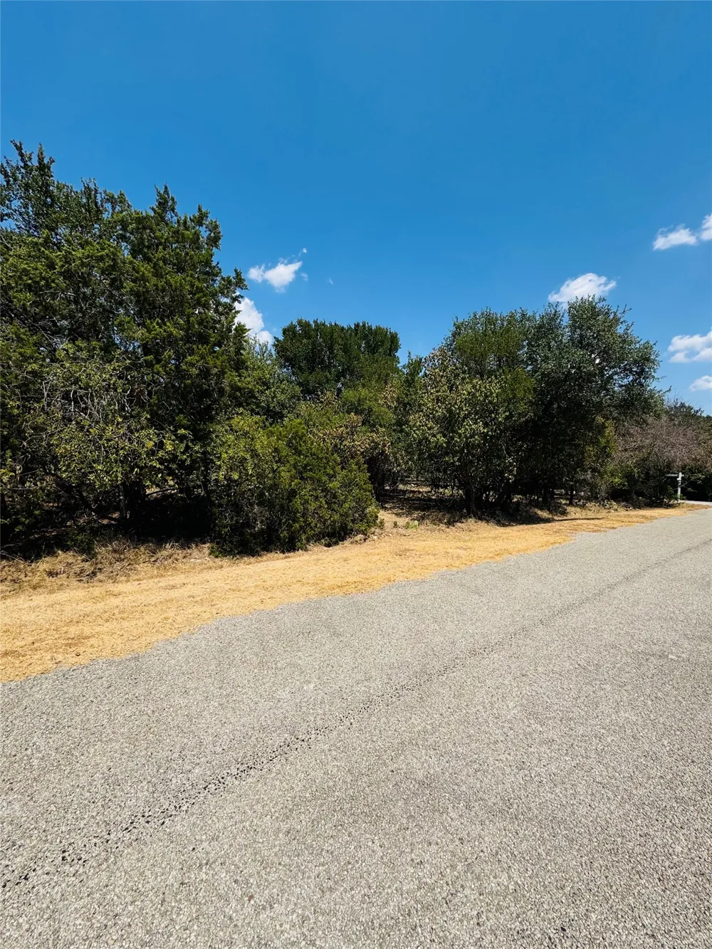 14057 Sandy Oaks Drive Whitney, TX 76692