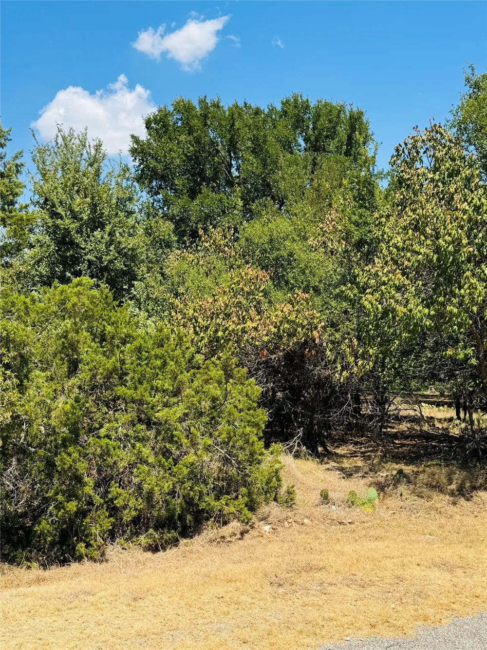 14057 Sandy Oaks Drive Whitney, TX 76692