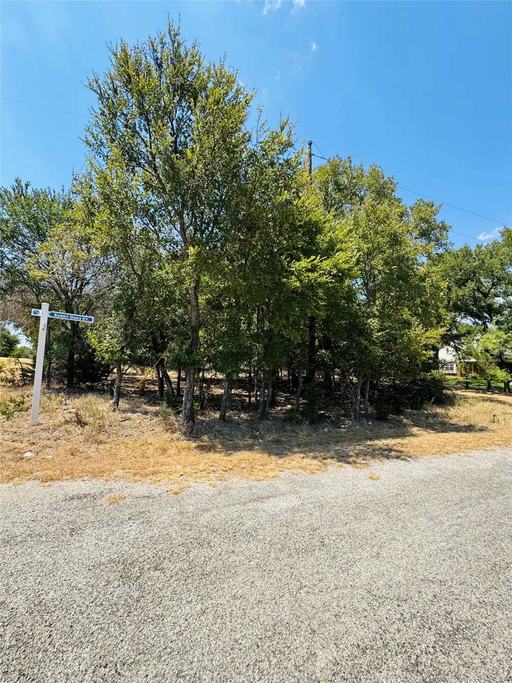 14057 Sandy Oaks Drive Whitney, TX 76692