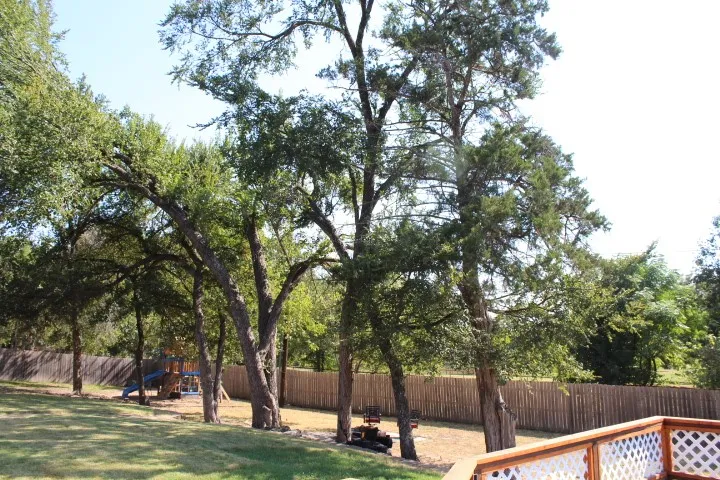 2020 Arbor Bend Street Bonham, TX 75418
