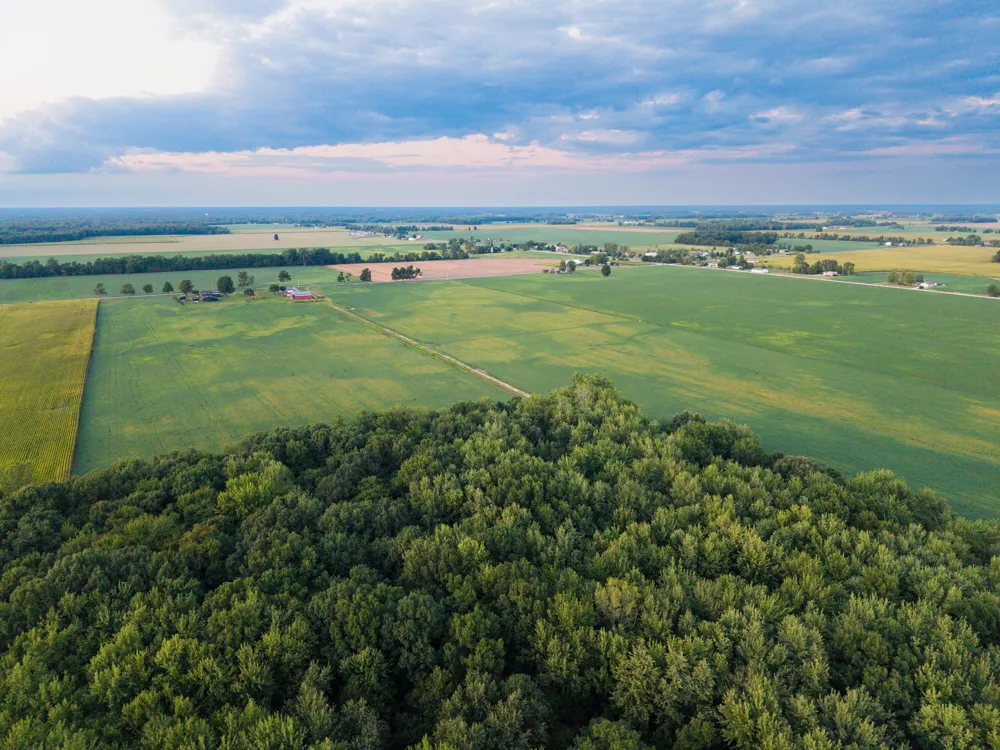 Ditch Road Chesaning, MI 48616