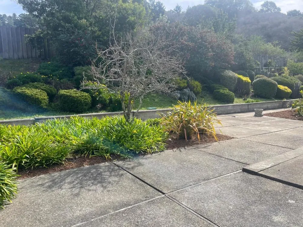 832 Oddstad Boulevard Pacifica, CA 94044