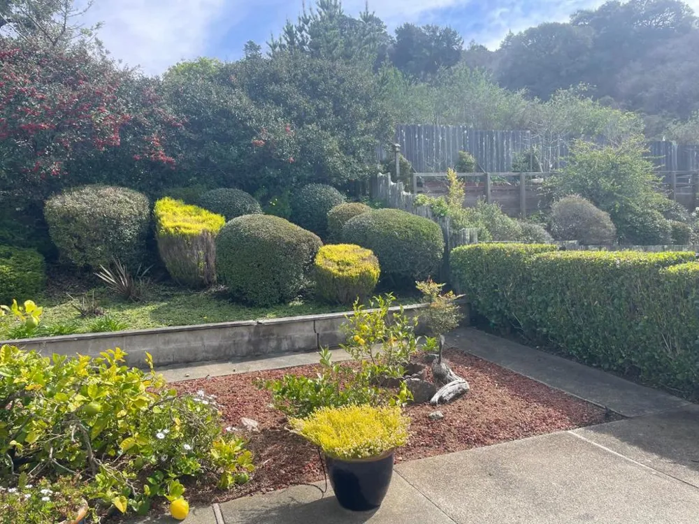832 Oddstad Boulevard Pacifica, CA 94044