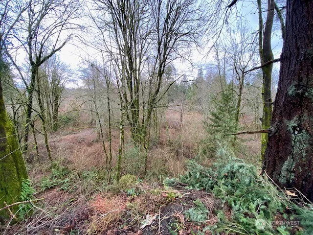 132 &129 Linda Street SE Tumwater, WA 98501