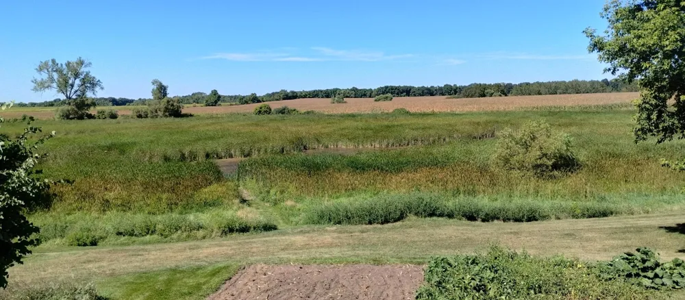29373 325th Street Underwood, MN 56586