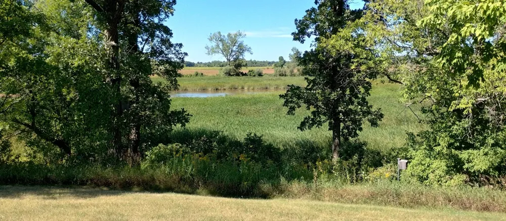29373 325th Street Underwood, MN 56586