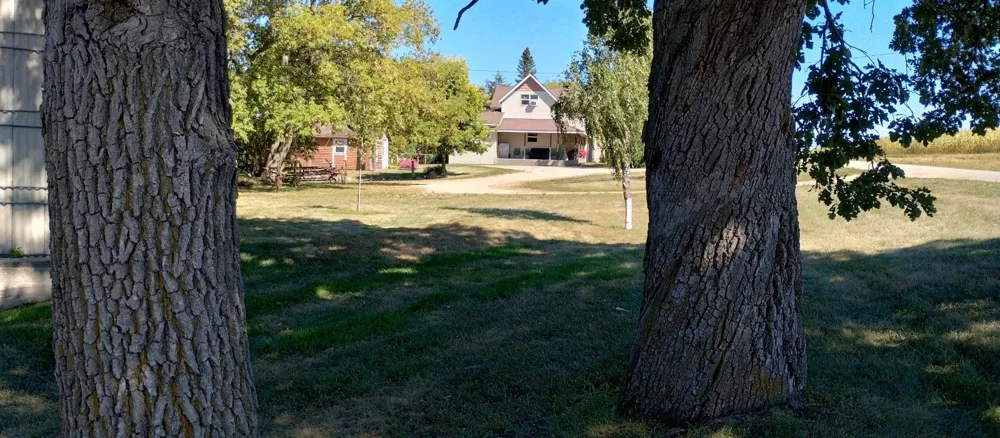 29373 325th Street Underwood, MN 56586