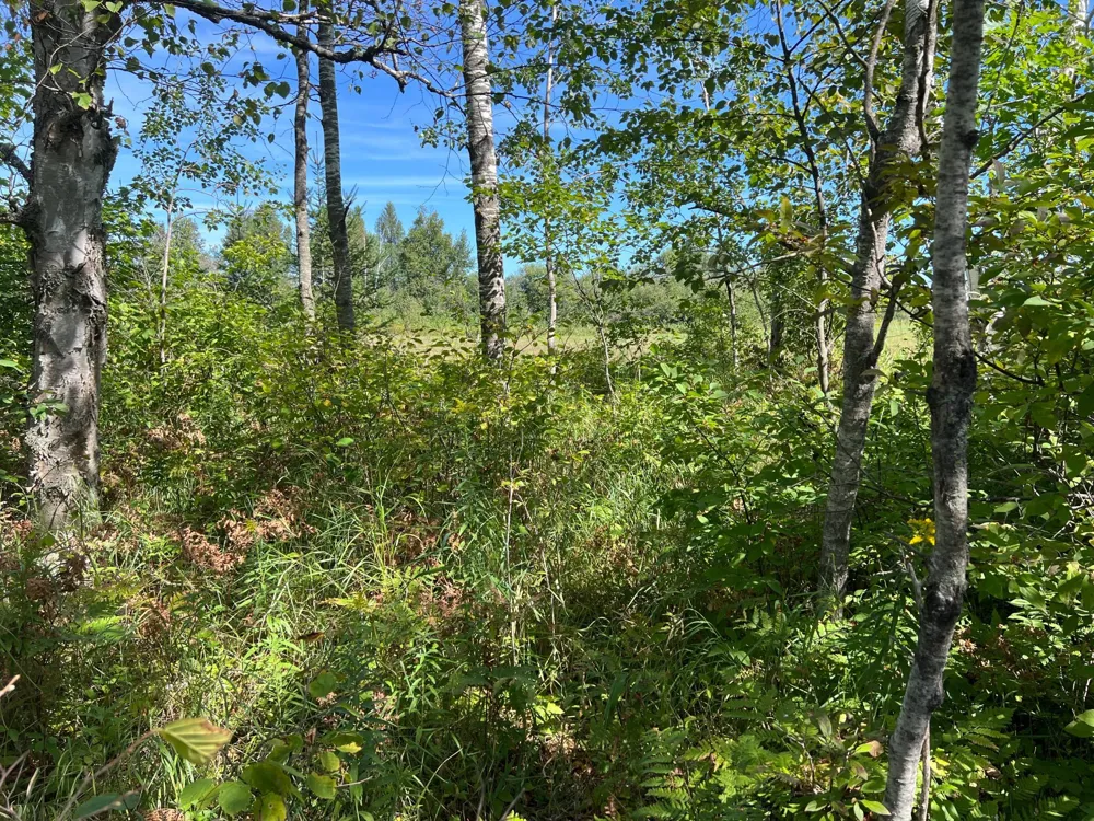 000 Dell Rd Finlayson, MN 55735
