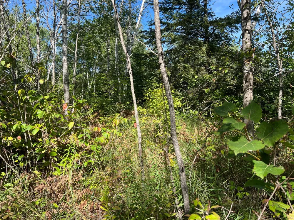 000 Dell Rd Finlayson, MN 55735