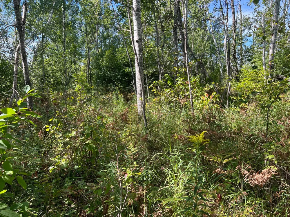 000 Dell Rd Finlayson, MN 55735