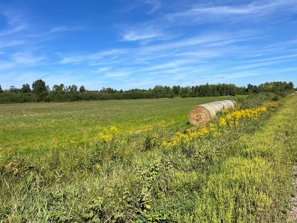 000 Dell Rd Finlayson, MN 55735