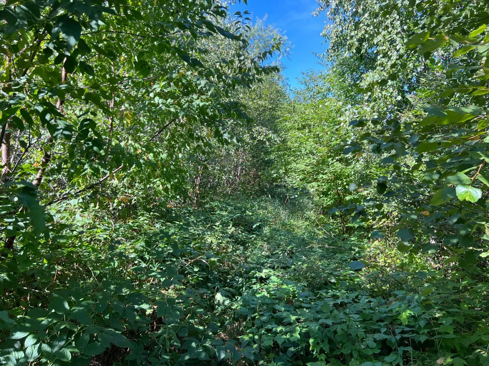 000 Dell Rd Finlayson, MN 55735