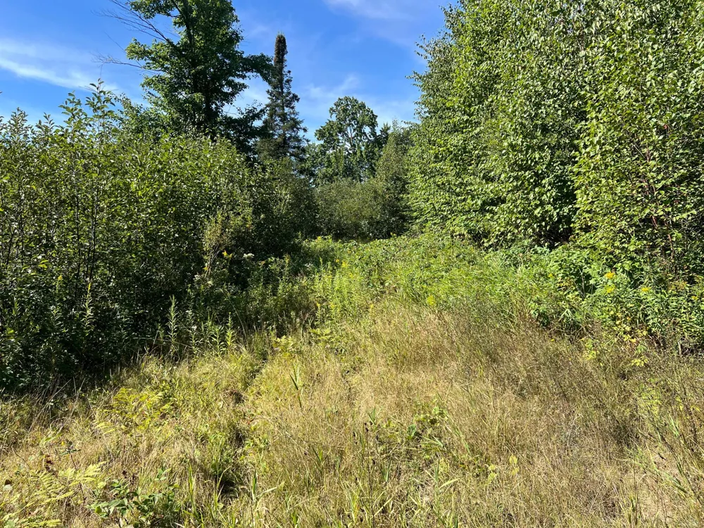 000 Dell Rd Finlayson, MN 55735