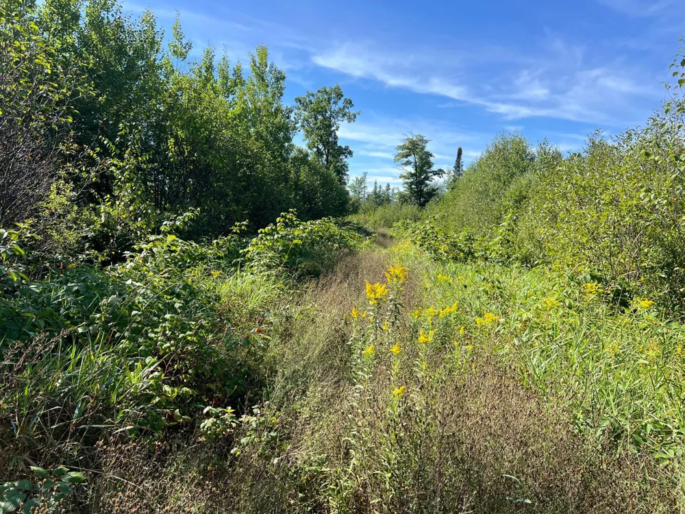000 Dell Rd Finlayson, MN 55735
