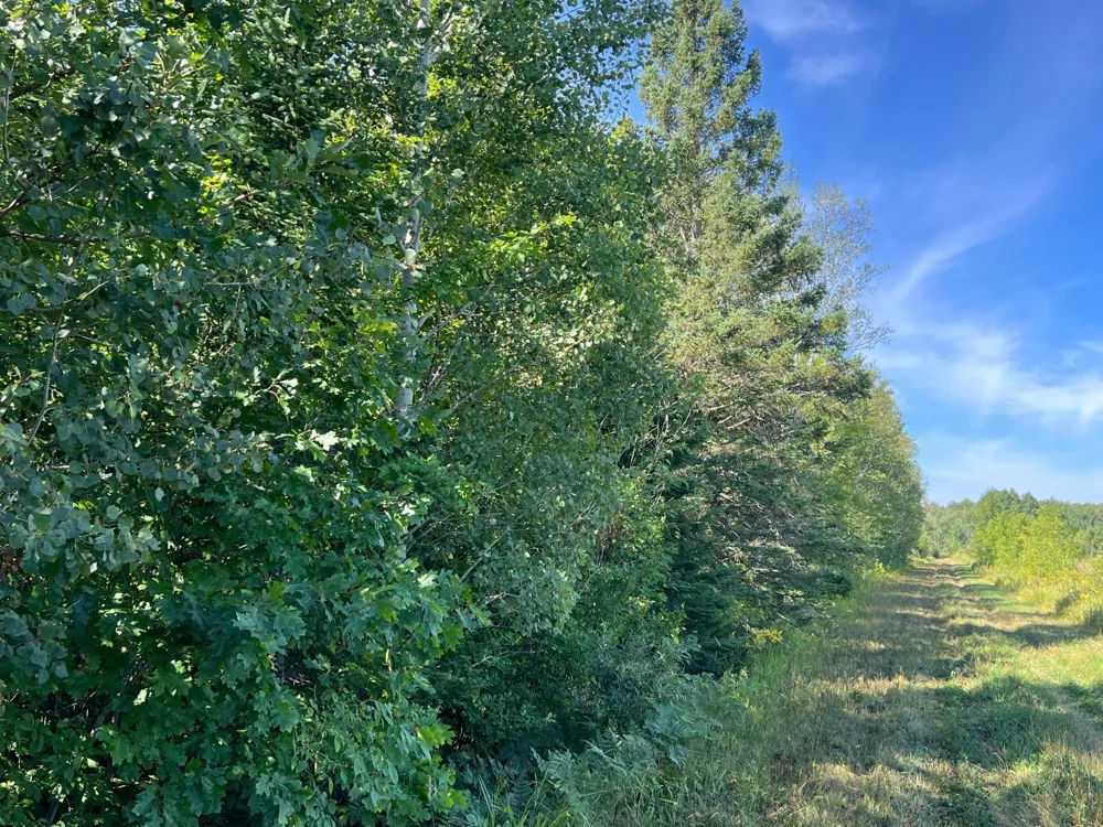 000 Dell Rd Finlayson, MN 55735